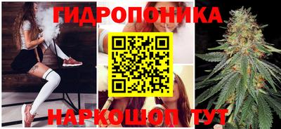 мдпв Новозыбков