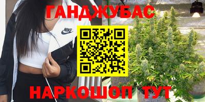 мдпв Новозыбков