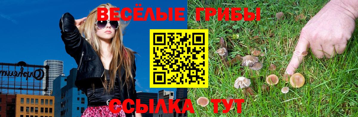 Галлюциногенные грибы прущие грибы Валуйки