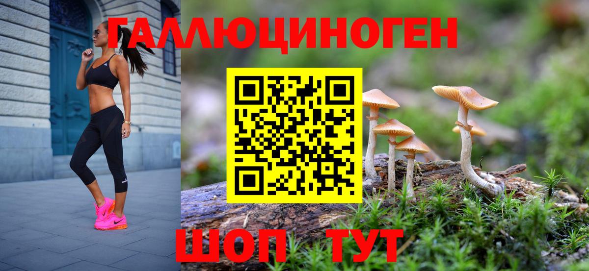 Псилоцибиновые грибы Magic Shrooms  Вход с VPN  Валуйки 